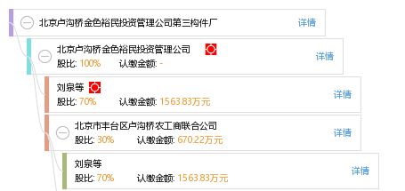 北京盧溝橋金色裕民投資管理公司第三構件廠投資管理探析